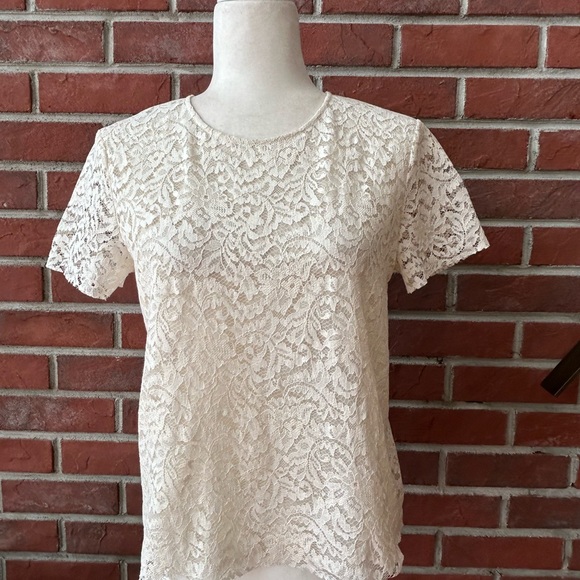 •Antonelli Firenze Silk Lace cream Short Sleeve Top Blouse S… - Picture 1 of 14